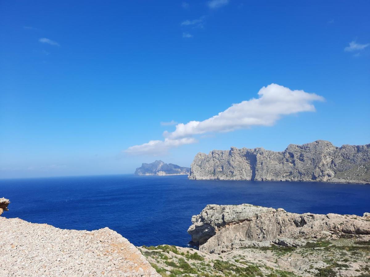 Pollentia Mar, Puerto